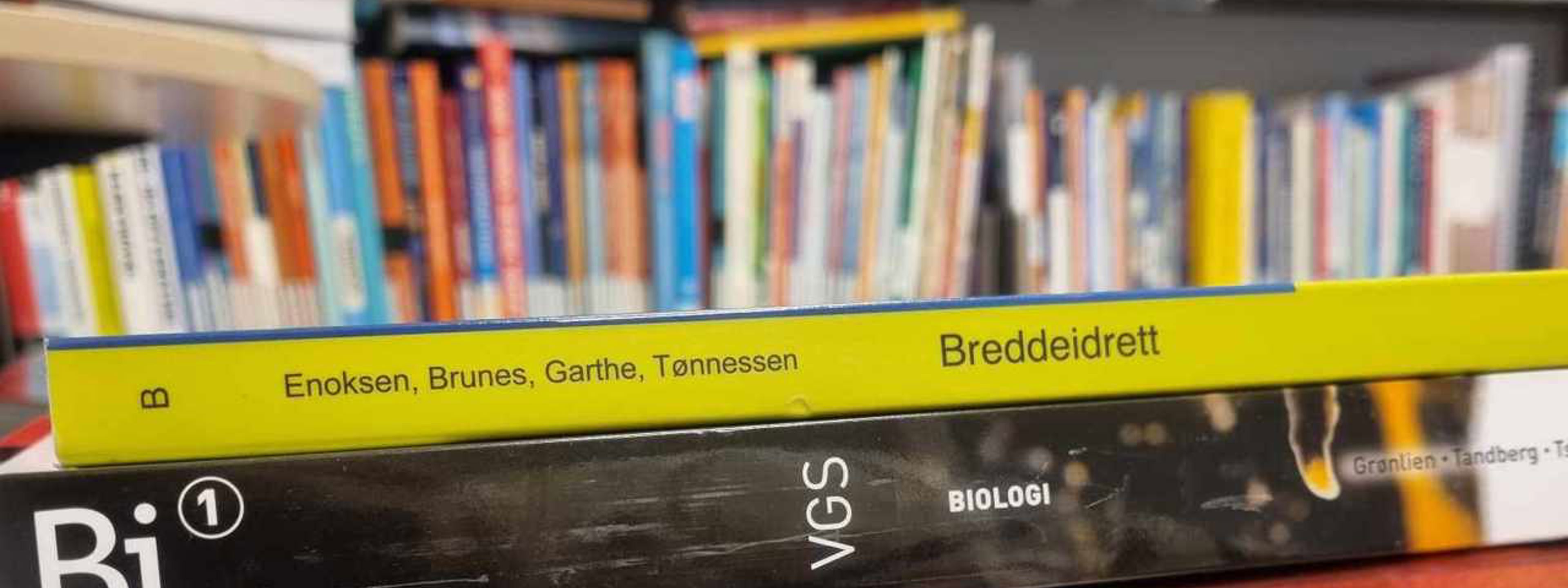 Bilete av bøker på eit bord i biblioteket