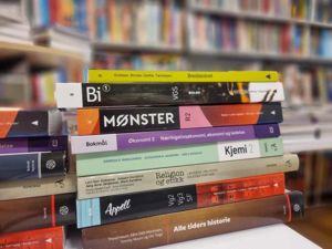 Bilde av bøker i biblioteket